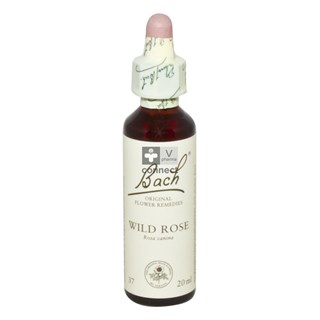 Bach-Remedy-N.37-Eglantier-20ml-.jpg