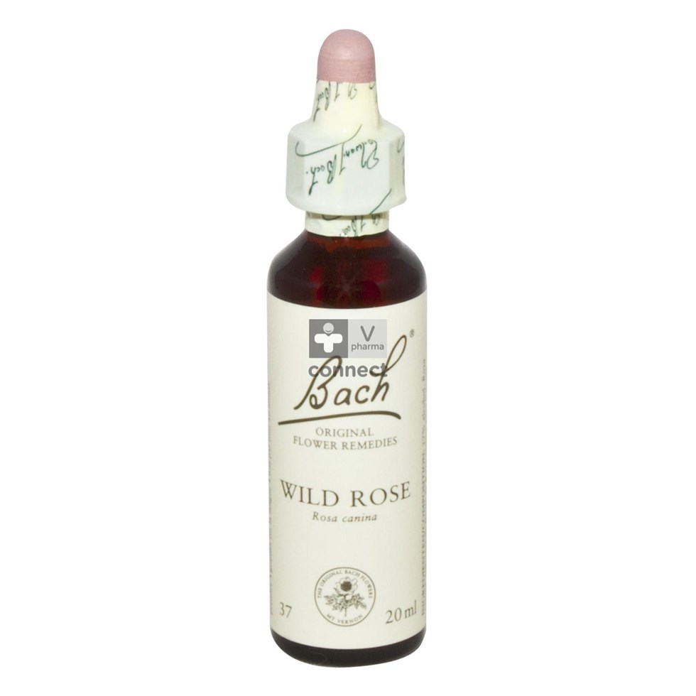 Bach Flower Remedie 37 Wild Rose 20ml
