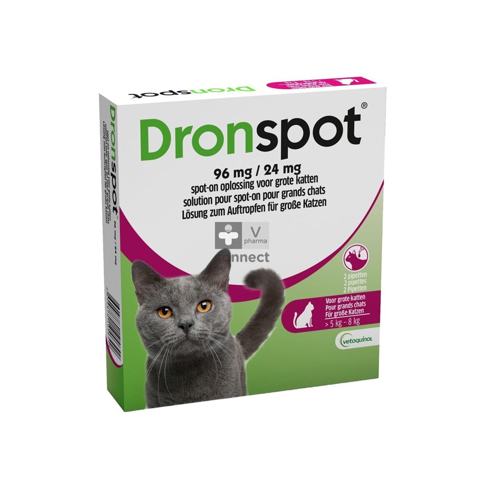 Dronspot 96mg/24mg Spot-on Kat Groot >5-8kg Pip 2