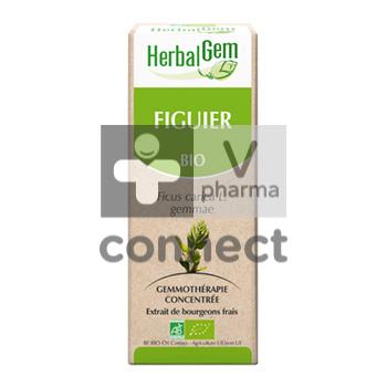 Herbalgem Figuier  50 ml