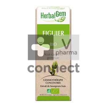 Herbalgem Vijgenboom Maceraat 50ml