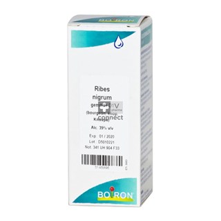Ribes-Nigrum-Gemmo-D1-60Ml-Boiron.jpg
