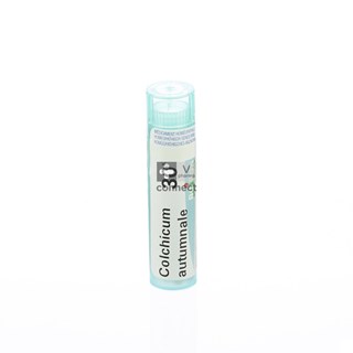 Colchicum-Autumnale-Granules-30-K-Boiron.jpg