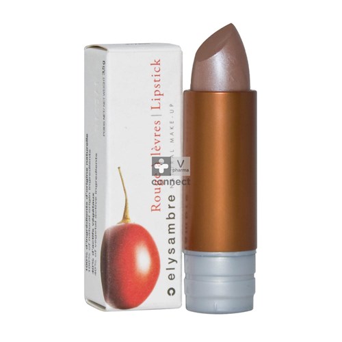 Elysambre Rouge A Levres Mat 102 Brun Beige