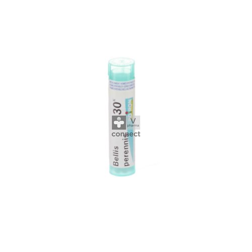 Bellis Perennis Granules 30K Boiron
