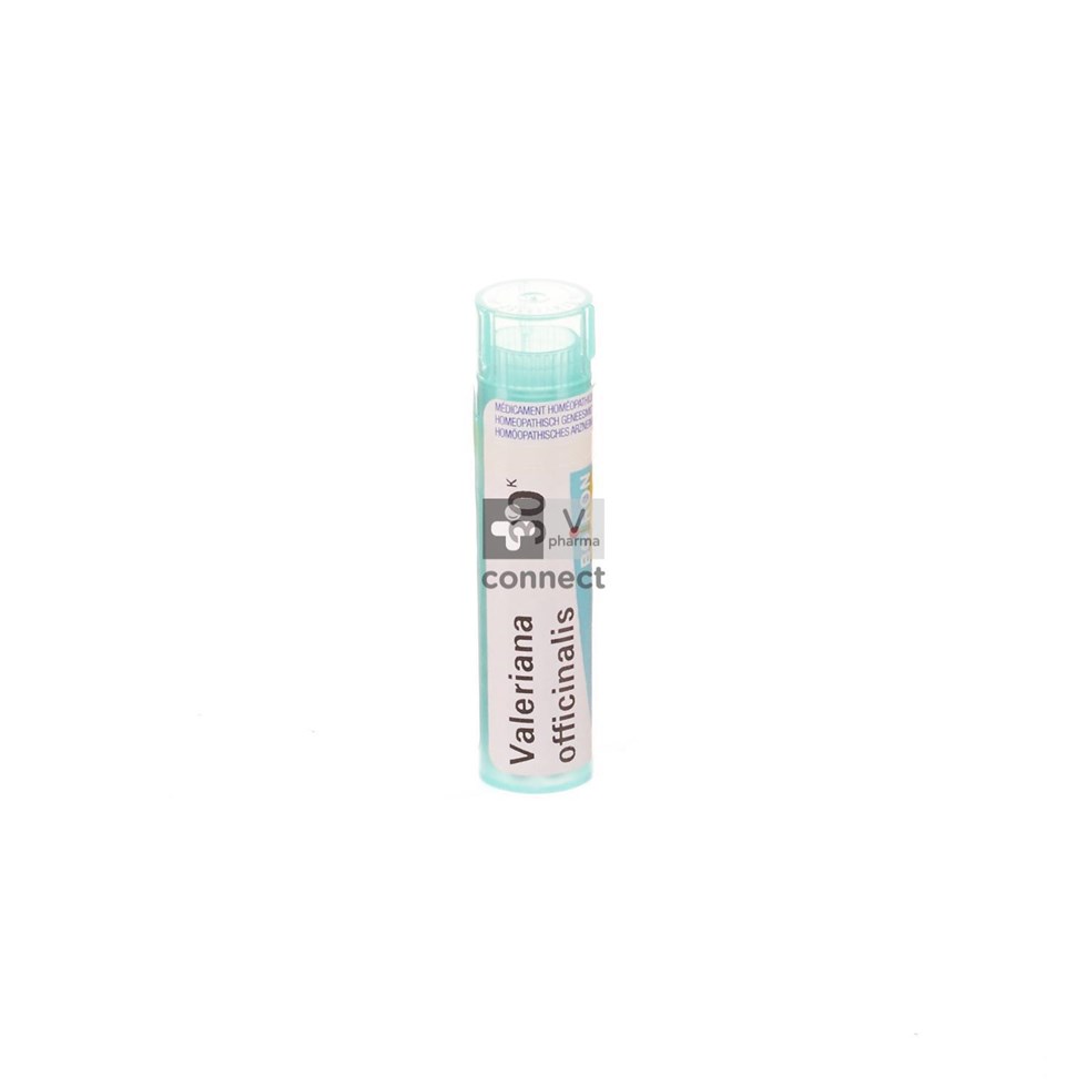 Valeriana Officinalis 30k Gr 4g Boiron