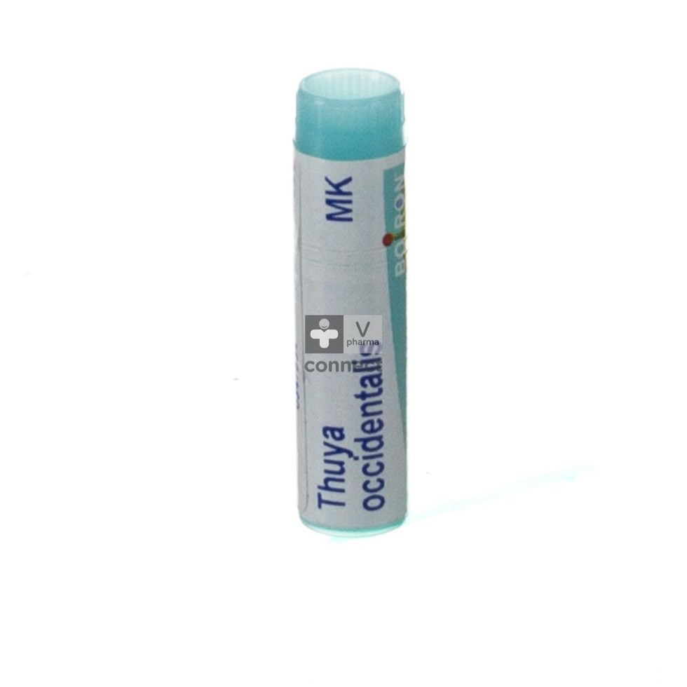 Thuya Occidentalis Mk Gl Boiron