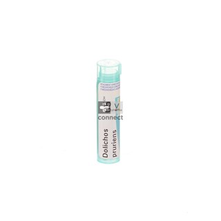 Dolichos-Pruriens-Granules-5Ch-Boiron.jpg