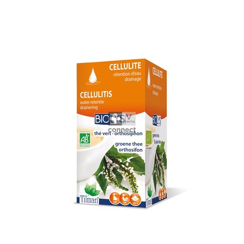Biolys Tisane Thé Vert/Orthosiphon 20 Infusettes