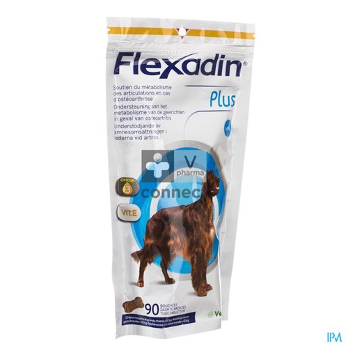 Flexadin Plus Maxi Chews 90 Bouchées