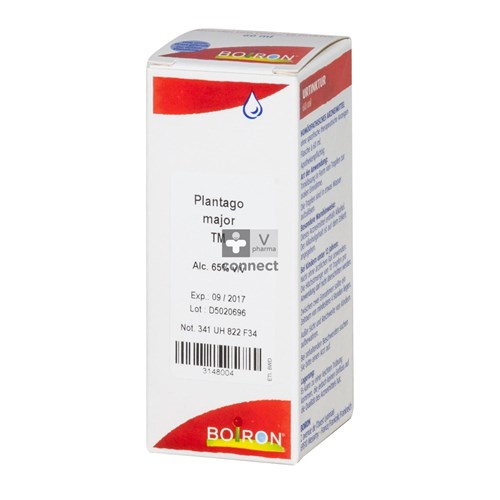 Plantago Major  Teinture Mère  60 Ml Boiron