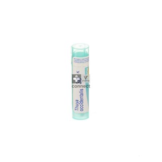 Thuya-Occidentalis-Granules-30K-Boiron.jpg