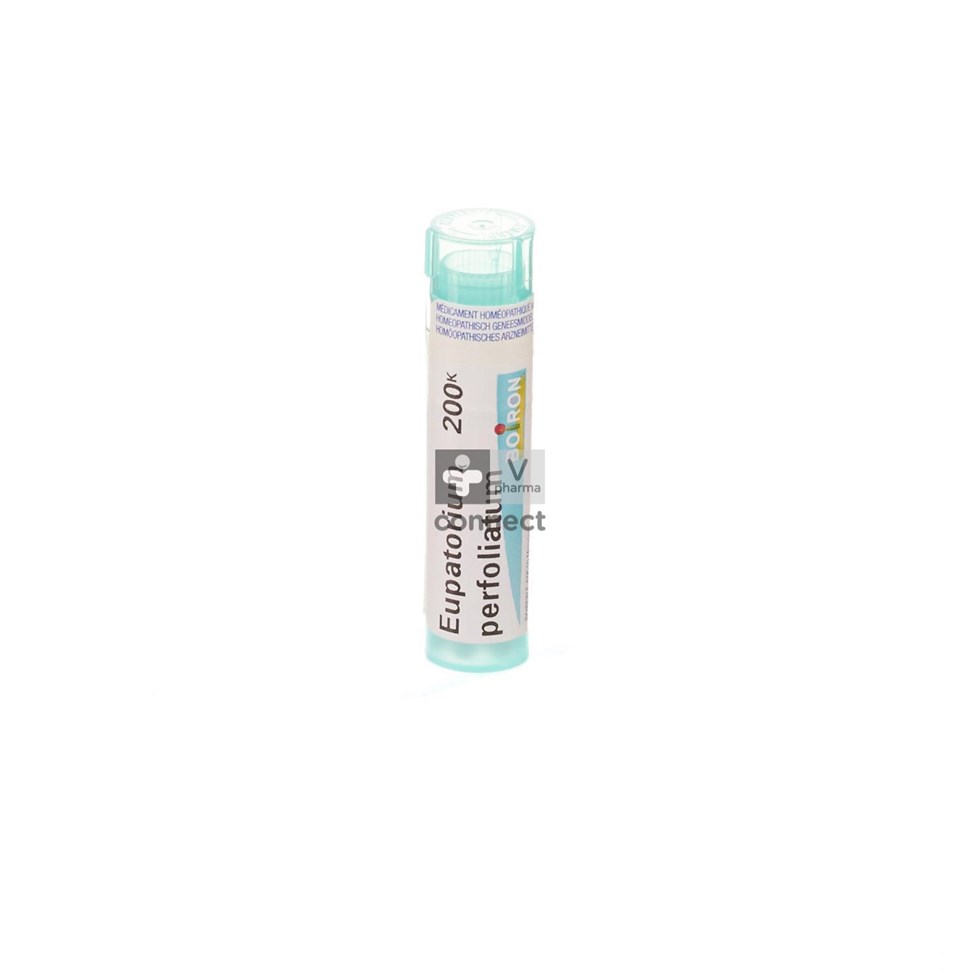 Eupatorium Perfoliatum 200k Gr 4g Boiron