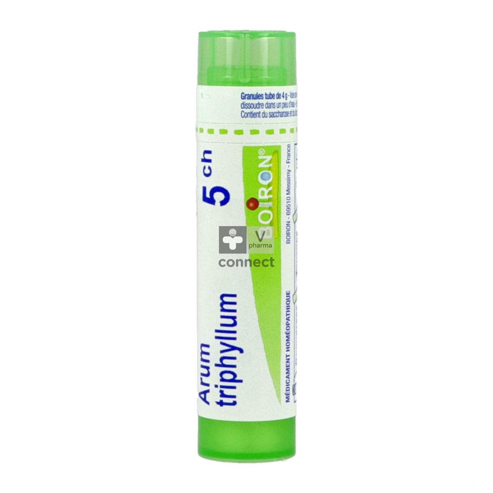 Arum Triphyllum Granules 5Ch Boiron