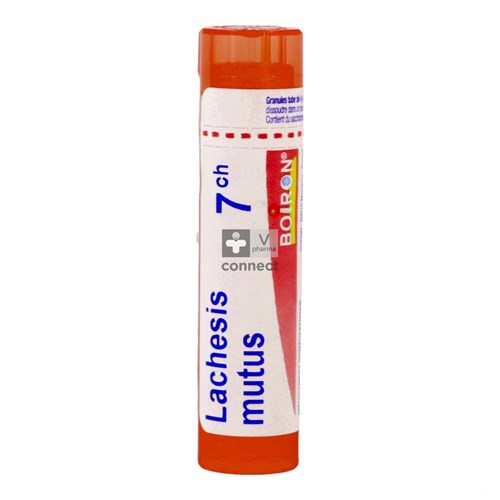 Lachesis Mutus 7ch Gr 4g Boiron
