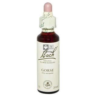 Bach-Remedy-N.13-Ajonc-20ml-.jpg
