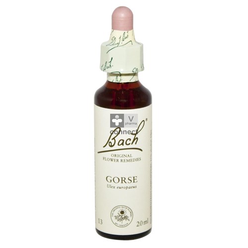 Bach Flower Remedy N.13 Ajonc 20 ml