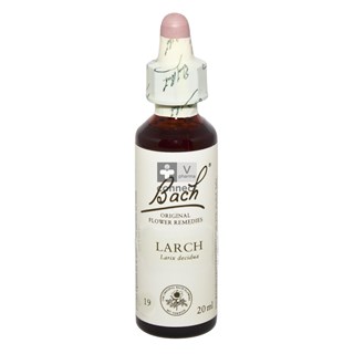 Bach-Remedy-N.19-Meleze-20ml-.jpg