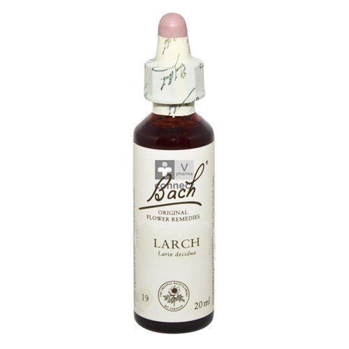 Bach Flower Remedie 19 Larch 20ml