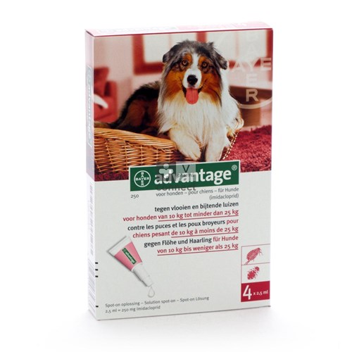 Advantage Dog 250 Spot-On 4 Pipettes