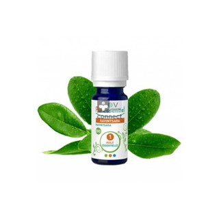 Puressentiel-Huile-Essentielle-Ravintsara-Bio-10-ml-.jpg