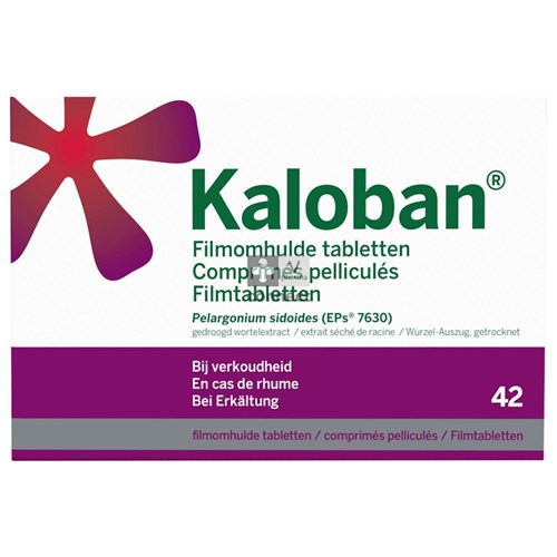 VSM Kaloban 42 tabletten