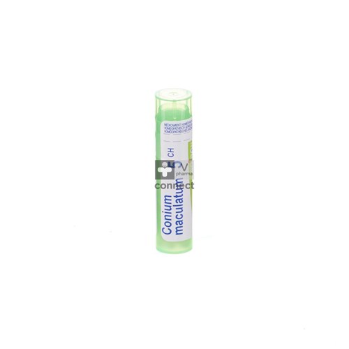 Conium Maculatum 5ch Gr 4g Boiron