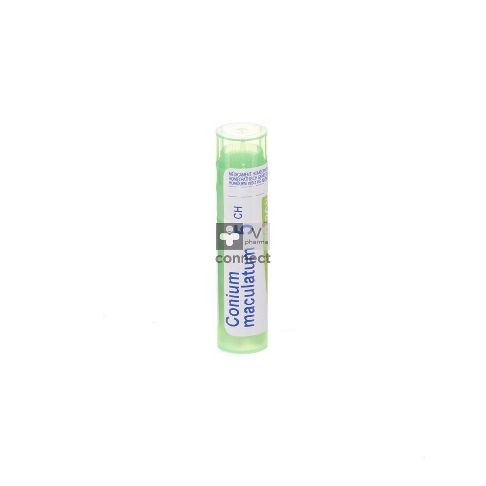 Conium Maculatum 5ch Gr 4g Boiron