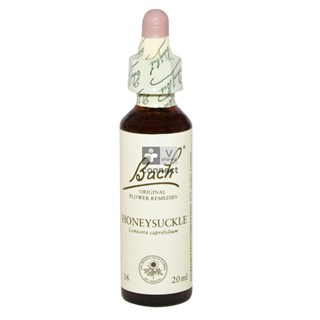 Bach-Remedy-N.16-Chevrefeuille-20ml-.jpg