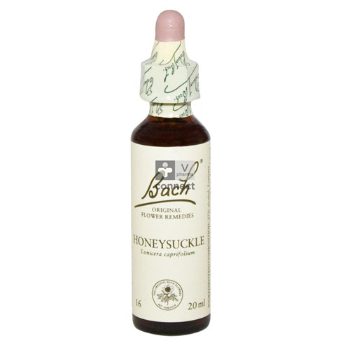 Bach Flower Remedie 16 Honeysuckle 20ml