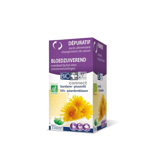 Biolys Klit-paardebloem Tisane Tea-bags 20