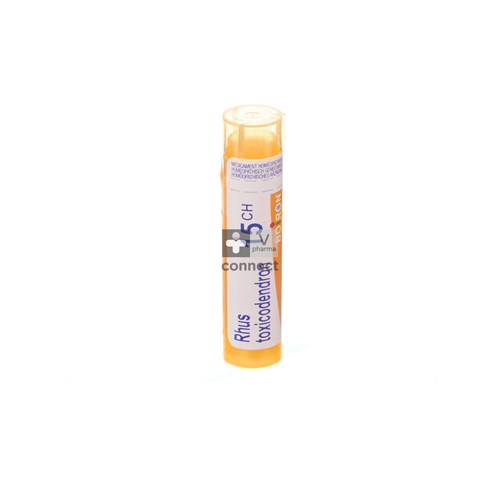 Rhus Toxicodendron 15ch Gr 4g Boiron