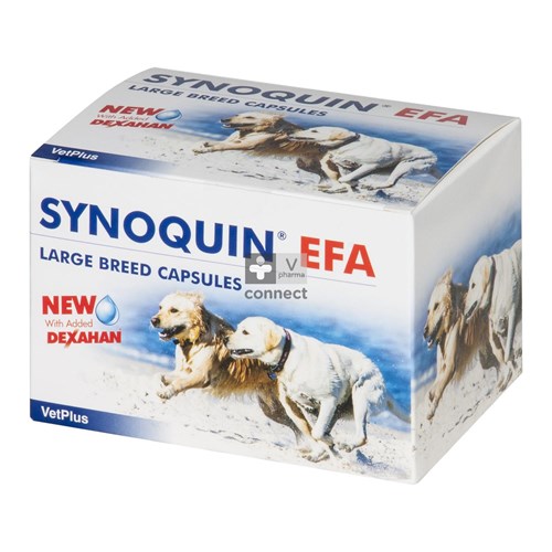Synoquin Efa Large Breed Caps 4x30