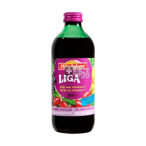 Heudeubert LigaCé Sirop Fruit 500 ml