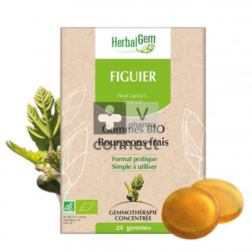 Herbalgem Figuier Bio 24 Gommes