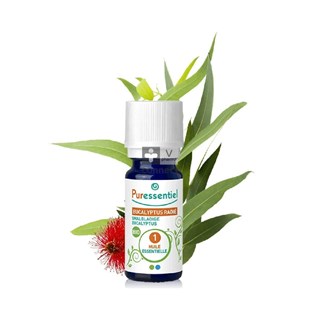 Puressentiel-Eucalyptus-Radiata-Bio-Huille-Essentielle-2x-10-ml-Promo-2eme-30.jpg