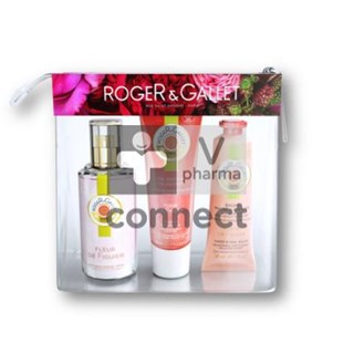 Roger-Gallet-Trousse-Summer-To-Go-Fleur-de-Figuier-3-Produits.jpg
