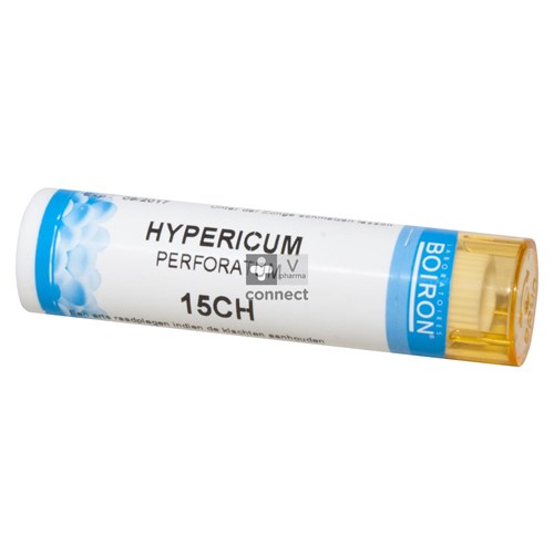 Hypericum Perforatum Granules 15ch Unda