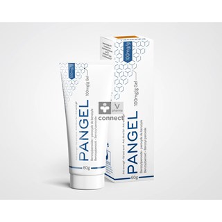 Pangel-10-Gel-60-g.jpg
