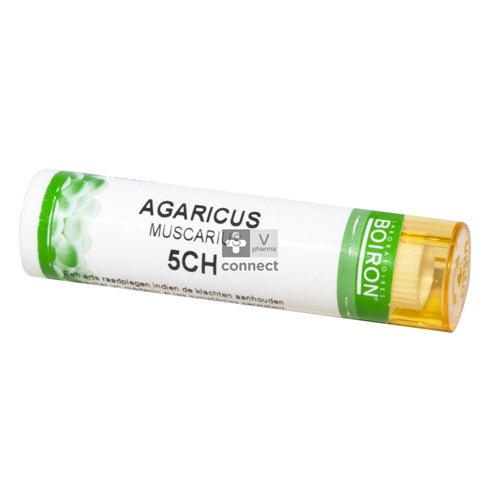 Agaricus Muscarius Granules 5ch Unda