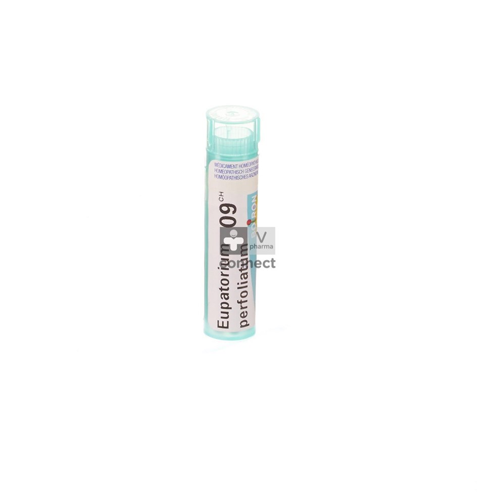 Eupatorium Perfoliatum 9ch Gr 4g Boiron