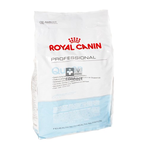 Royal Canin Queen 34  10 kg
