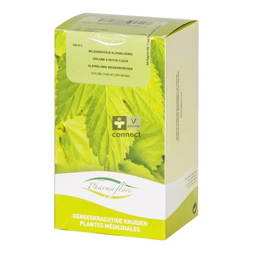 Wilgenroosje Parviflorum 100g Fag