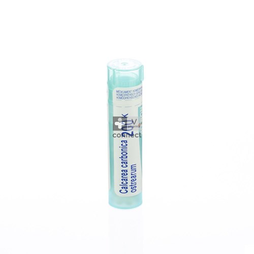 Calcarea Carbonica Ostrearum 200k Gr 4g Boiron