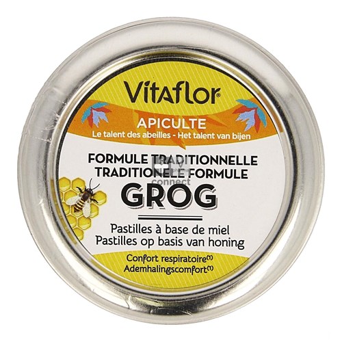 Vitaflor Grog Tradit. Formule Honing Past. 45g