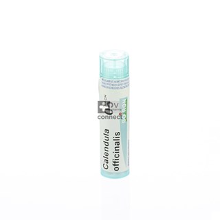 Calendula-Officinalis-Granules-5ch-Boiron.jpg