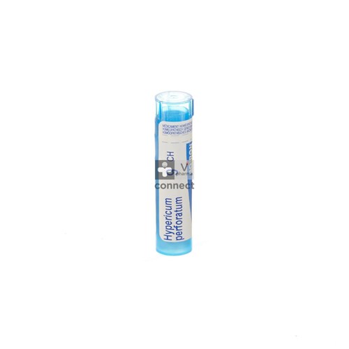 Hypericum Perforatum 9ch Gr 4g Boiron