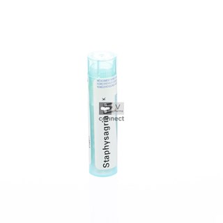 Staphysagria-Granules-1000-K-Boiron.jpg