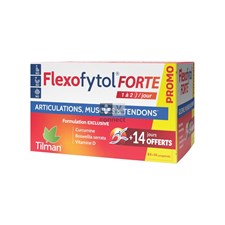 Flexofytol-Forte-8414-Comprimes.jpg