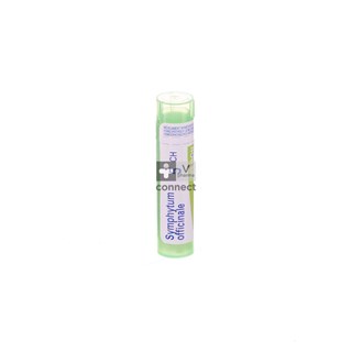 Symphytum-Officinale-Granules-5Ch-Boiron.jpg
